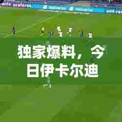 独家爆料，今日伊卡尔迪最新动态揭秘！