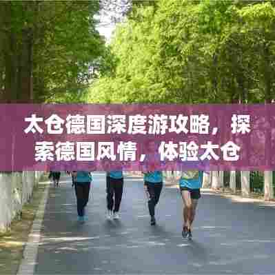 太仓德国深度游攻略,探索德国风情,体验太仓魅力
