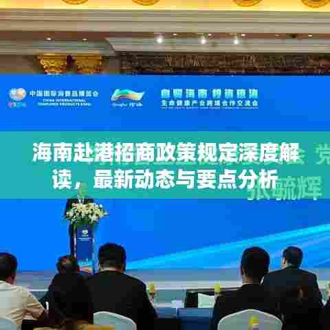 海南赴港招商政策规定深度解读,最新动态与要点分析
