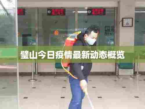 璧山今日疫情最新动态概览