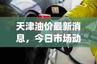 天津油价最新消息，今日市场动态分析与趋势预测