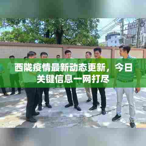 西陇疫情最新动态更新，今日关键信息一网打尽