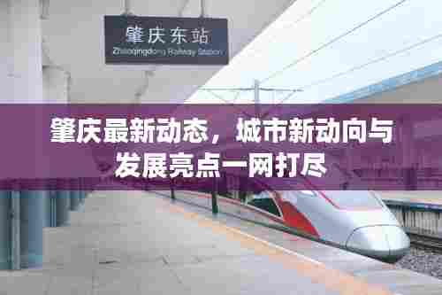 肇庆最新动态,城市新动向与发展亮点一网打尽