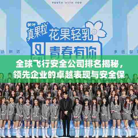 全球飞行安全公司排名揭秘,领先企业的卓越表现与安全保障