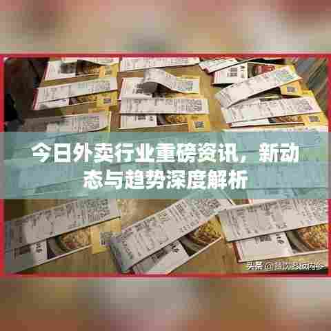 今日外卖行业重磅资讯,新动态与趋势深度解析