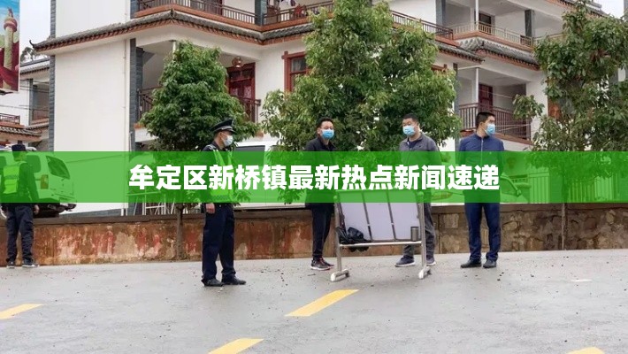 牟定区新桥镇最新热点新闻速递