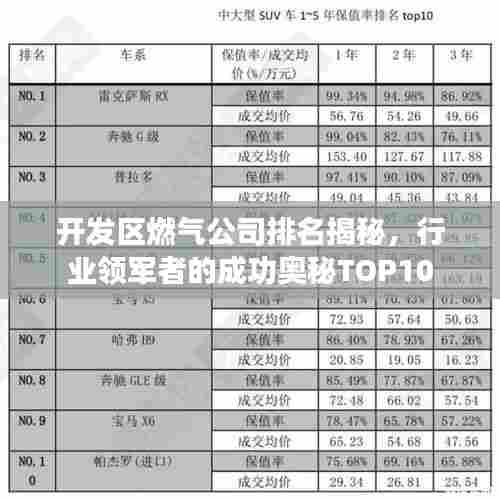 开发区燃气公司排名揭秘，行业领军者的成功奥秘TOP10