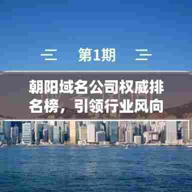 朝阳域名公司权威排名榜,引领行业风向标!