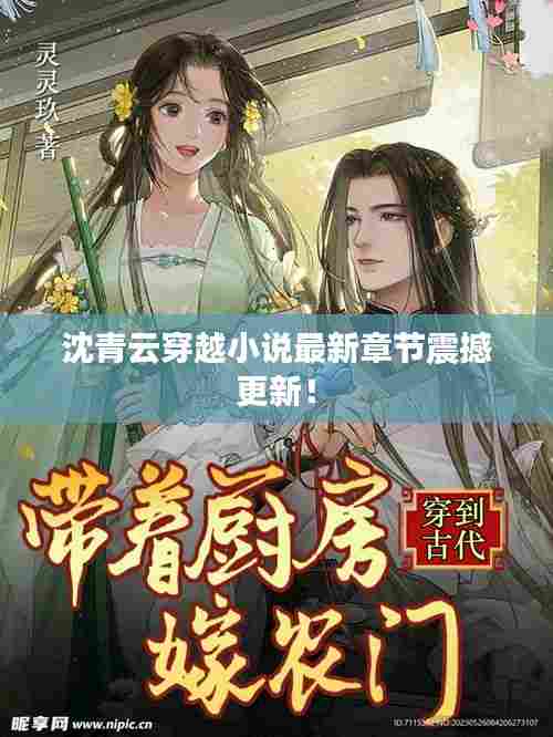 沈青云穿越小说最新章节震撼更新!
