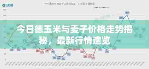 今日德玉米与麦子价格走势揭秘，最新行情速览