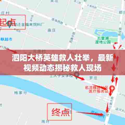 泗阳大桥英雄救人壮举，最新视频动态揭秘救人现场