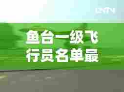 鱼台一级飞行员名单最新曝光,神秘飞行英雄揭秘