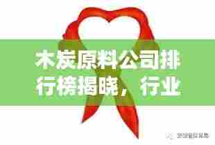 木炭原料公司排行榜揭晓,行业影响力深度解析