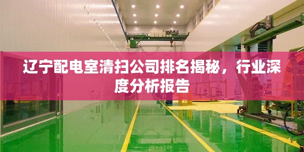 辽宁配电室清扫公司排名揭秘,行业深度分析报告