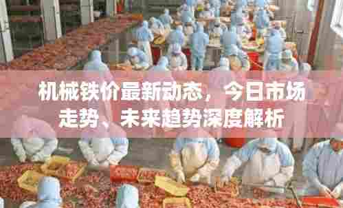 机械铁价最新动态,今日市场走势、未来趋势深度解析