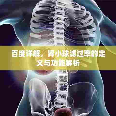 百度详解，肾小球滤过率的定义与功能解析