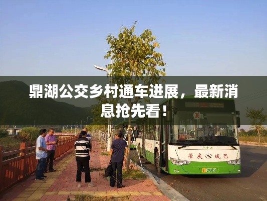 鼎湖公交乡村通车进展，最新消息抢先看！