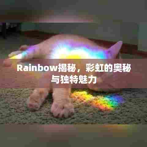 Rainbow揭秘,彩虹的奥秘与独特魅力