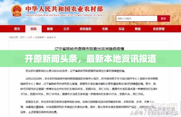 开原新闻头条,最新本地资讯报道