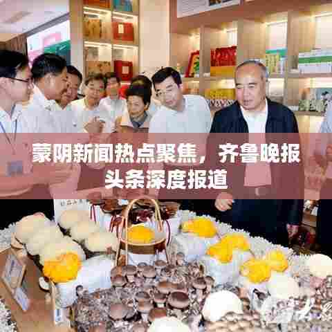 蒙阴新闻热点聚焦,齐鲁晚报头条深度报道