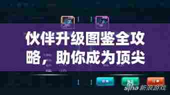 伙伴升级图鉴全攻略，助你成为顶尖玩家的秘籍！