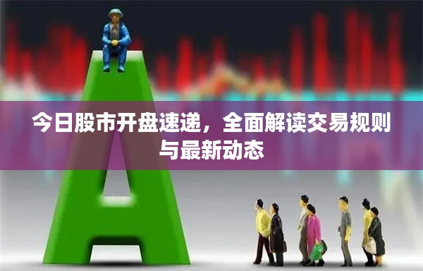 今日股市开盘速递，全面解读交易规则与最新动态