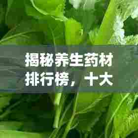 揭秘养生药材排行榜，十大顶级药材推荐，健康生活从此开始！
