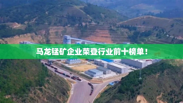 马龙锰矿企业荣登行业前十榜单!