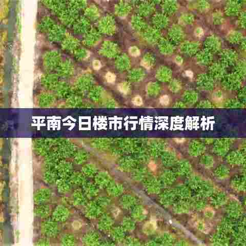 斫琱为朴 第3页