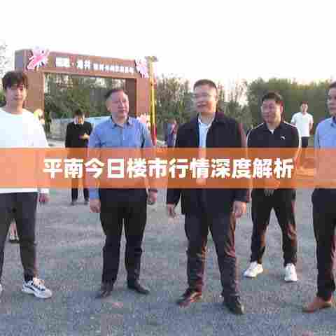 平南今日楼市行情深度解析