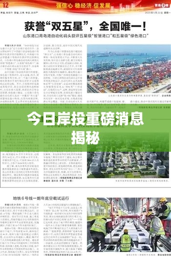 今日岸投重磅消息揭秘