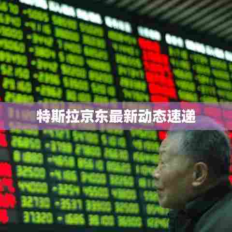 特斯拉京东最新动态速递