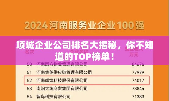 项城企业公司排名大揭秘，你不知道的TOP榜单！
