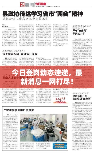 凤鸟不至 第3页