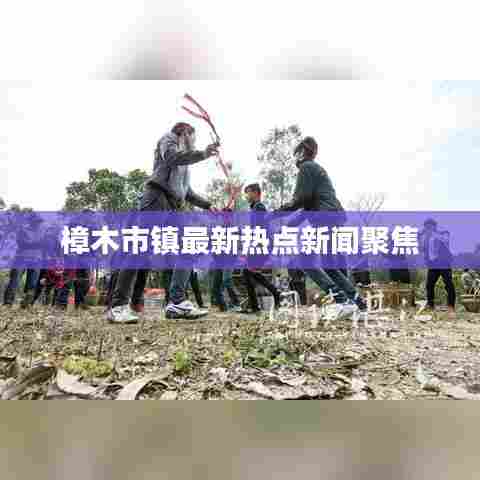 樟木市镇最新热点新闻聚焦