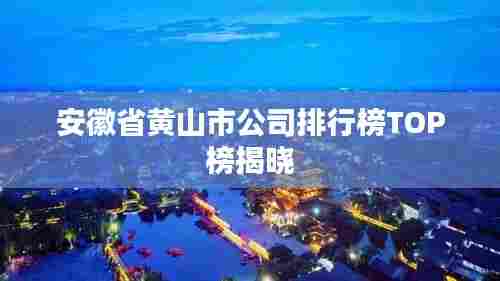 安徽省黄山市公司排行榜TOP榜揭晓