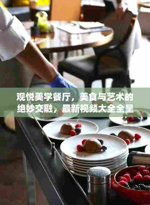 观悦美学餐厅,美食与艺术的绝妙交融,最新视频大全全呈现