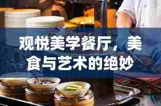 观悦美学餐厅,美食与艺术的绝妙交融,最新视频大全全呈现