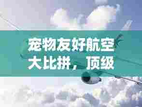 宠物友好航空大比拼，顶级宠物飞机公司排名揭晓！