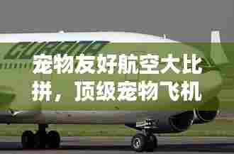 宠物友好航空大比拼,顶级宠物飞机公司排名揭晓!