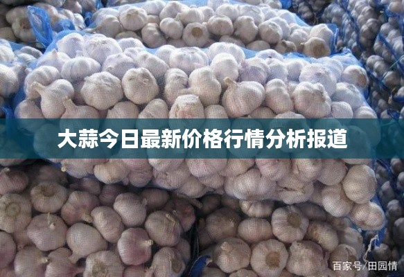 大蒜今日最新价格行情分析报道