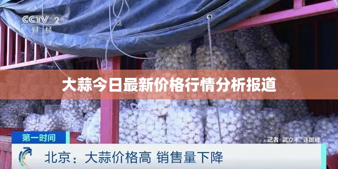 大蒜今日最新价格行情分析报道