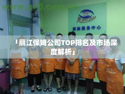 「丽江保姆公司TOP排名及市场深度解析」