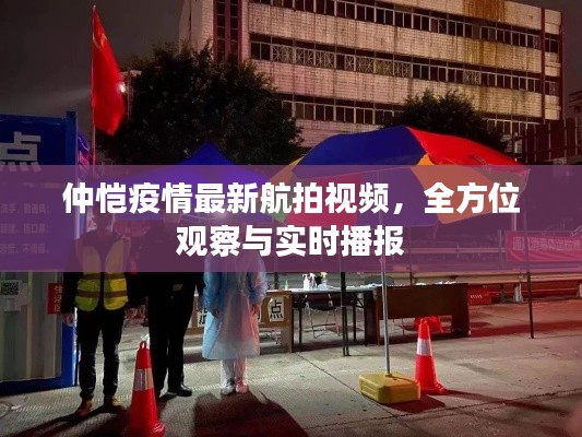仲恺疫情最新航拍视频,全方位观察与实时播报