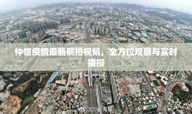 仲恺疫情最新航拍视频,全方位观察与实时播报