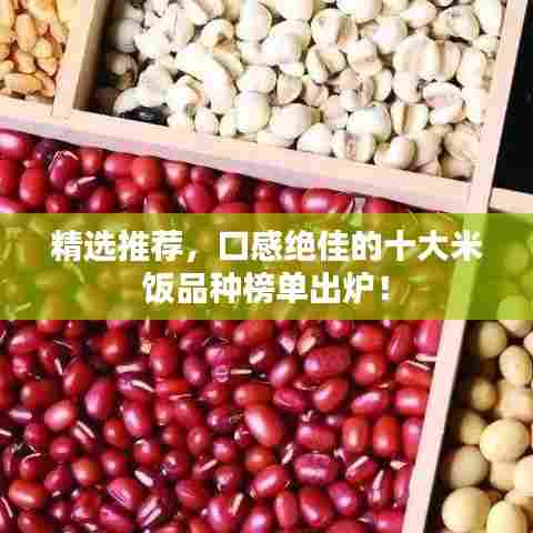 精选推荐，口感绝佳的十大米饭品种榜单出炉！