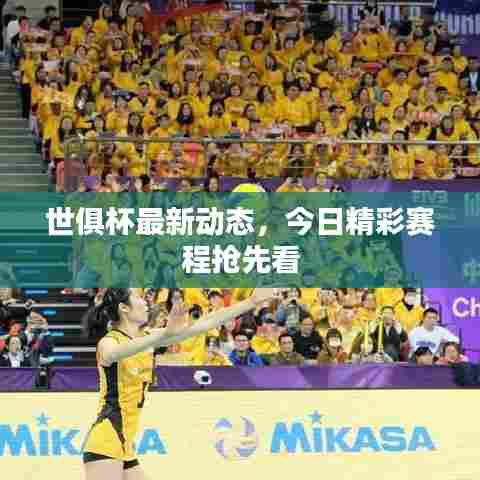 世俱杯最新动态，今日精彩赛程抢先看