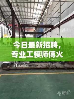 今日最新招聘,专业工模师傅火热招募中
