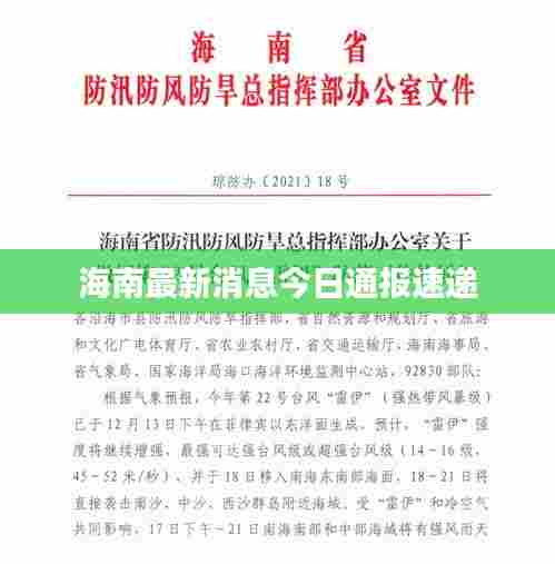 海南最新消息今日通报速递