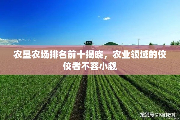 农垦农场排名前十揭晓,农业领域的佼佼者不容小觑